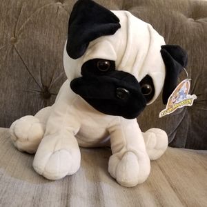 pug teddy